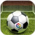 西班牙足球甲级联赛 V1.0.9 安卓版