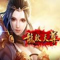 龙纹天尊 V1.0 苹果版