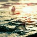 加勒比海盗5死无对证 V1.0.0 安卓版
