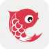 小鲤鱼育儿 V3.6 安卓版