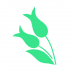 薏米医生 V3.2.2 安卓版