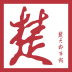看楚天 V4.0 安卓版