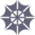 网站抓取大师 V1.2 安卓版