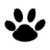猛兽录音 V9.0 安卓版