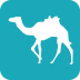 去哪儿旅行 V8.5.5 安卓版