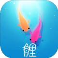锦鲤之旅 V1028 苹果版