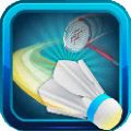 羽毛球联赛3D V2.4.5 免费版
