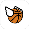 Flappy Dunk V1.2 安卓版