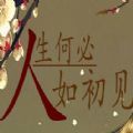 人生何必如初见 V1.0 苹果版