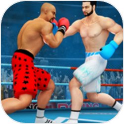 忍者拳击战士 V3.0.2 安卓版