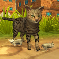 小流浪猫 V1.0 安卓版
