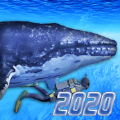 DivingSimulator2020 V1.0 苹果版