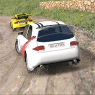 拉力赛车2020 V1.07 安卓版