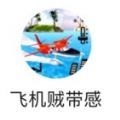 飞机贼带感 V1.0 安卓版