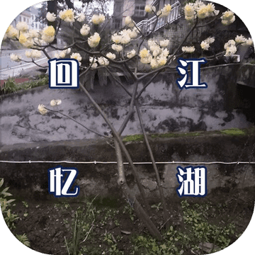 回忆江湖MUD V1.0 安卓版