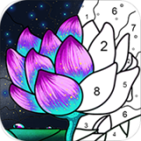 乐涂数字填色 V2.29.31 安卓版