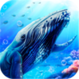 蓝鲸海洋生物模拟3D V1.0.0 安卓版