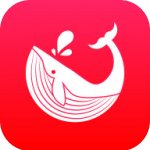 迪星生活 V1.0 安卓版