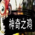 神奇之鸡 V1.0 安卓版