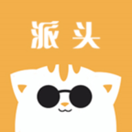 派头 V0.0.20 安卓版