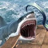 小浪木筏求生 V1.23 安卓版