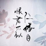 恨君不似江楼月 V1.0 安卓版