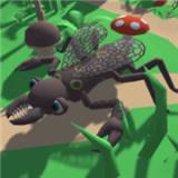 昆虫进化模拟器 V1.01.0 安卓版