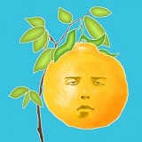 长脸的树 v1.0.0 安卓版