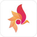 一等 V1.0.3 安卓版