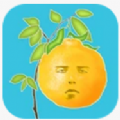 奇怪的树 V1.0.0 安卓版
