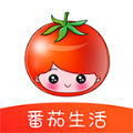番茄生活 V1.3 安卓版