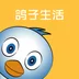 鸽子生活 手机版