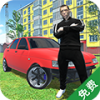 驾驶模拟生活 V1.13 安卓版