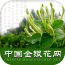 金银花网 V5.0.0 安卓版
