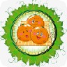 化州橘红商城 V4.01 安卓版