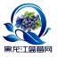 黑龙江蓝莓网 V5.0.0 安卓版