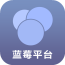 蓝莓平台 V1.0.0 安卓版