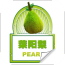 莱阳梨 V1.0 安卓版