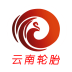 云南轮胎 V2.0.0 安卓版