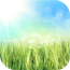 粮油商城 V2.0.1 安卓版