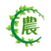 食之初 V1.1.2 安卓版
