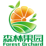 森林果园 V1.0 安卓版