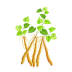 焦作山药 V5.0.0 安卓版