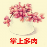 掌上多肉 V1.0 安卓版