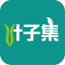 叶子集 V1.0.01 安卓版