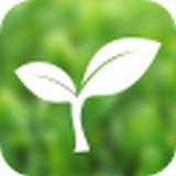 茶叶商城 V1.1 安卓版