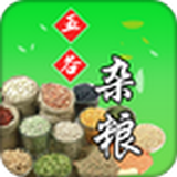 五谷杂粮网 V1.0.0 安卓版