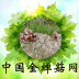 金蝉菇网 V1.1 安卓版