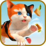 沙雕猫模拟器 V1.0.1 安卓版