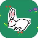 养宠物 V1.0 安卓版